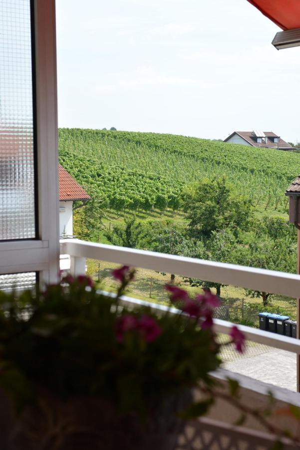 Ferienwohnung Seaview Meersburg Eksteriør bilde